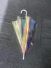 Holographique