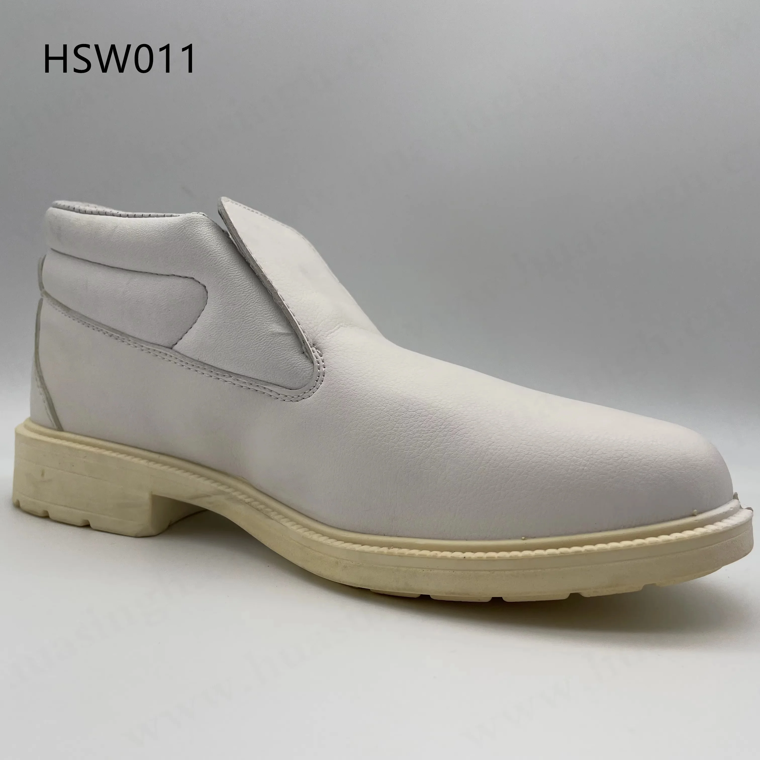 HSW011