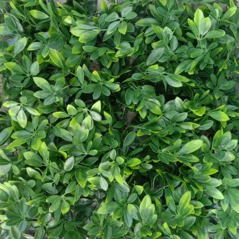 graswand pred de hierba悬挂植物圆球人造绿色草壁 - buy artificial