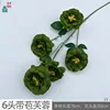 6-headed budding hibiscus XY green