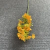 Arancione chiaro