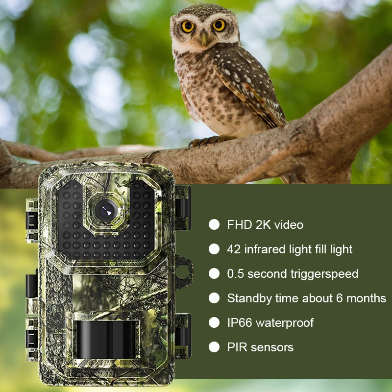 DL002 Hunting Trail Camera 36MP Photo Trap with Night Vision
