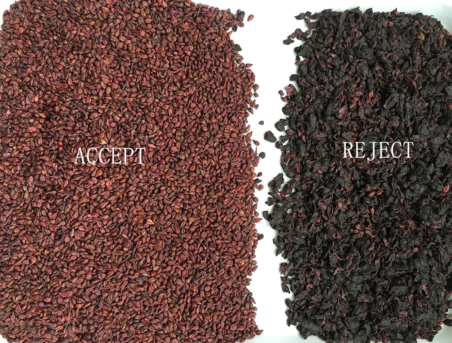 Wenyao 5 Chute Top Quality Color Sorter Fast Delivery Large Capacity Nut Raisin Color Sorting Machine for Fresh and Dried Fruit 8