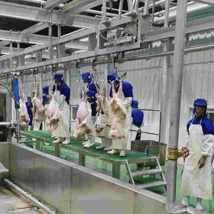 Advanced fully automatic sheep slaughtering production line equipment, steel slaughterhouse equipment for halal meat processing