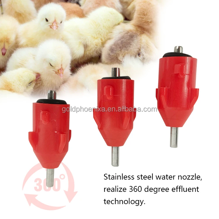 Transportda jinsiy aloqa (koz bilan qarash) T-koylak yordamida onanizmni qanday qilish kerak