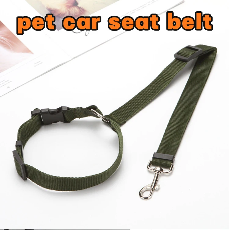 Fashion Attractive Design Seat Belt Dog Leash for Outdoor All Seasons