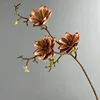 Rosa scuro