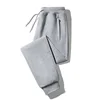 Light Gray 1