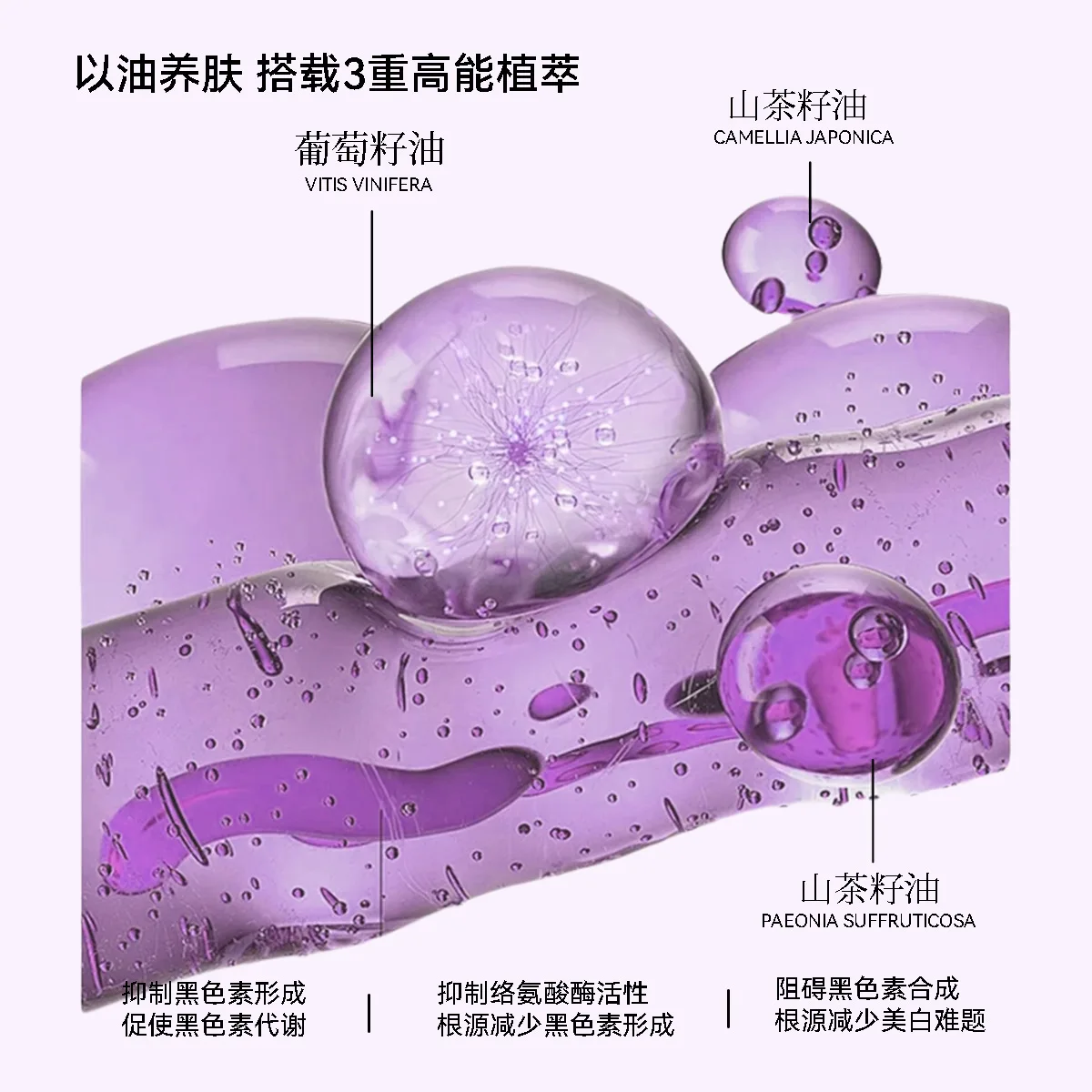 Sheep Placenta Whitening for Essence Soft Capsule Active Firming Creams Moisturizing Secondary Skin Care Products OEM