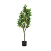 Verde 90cm