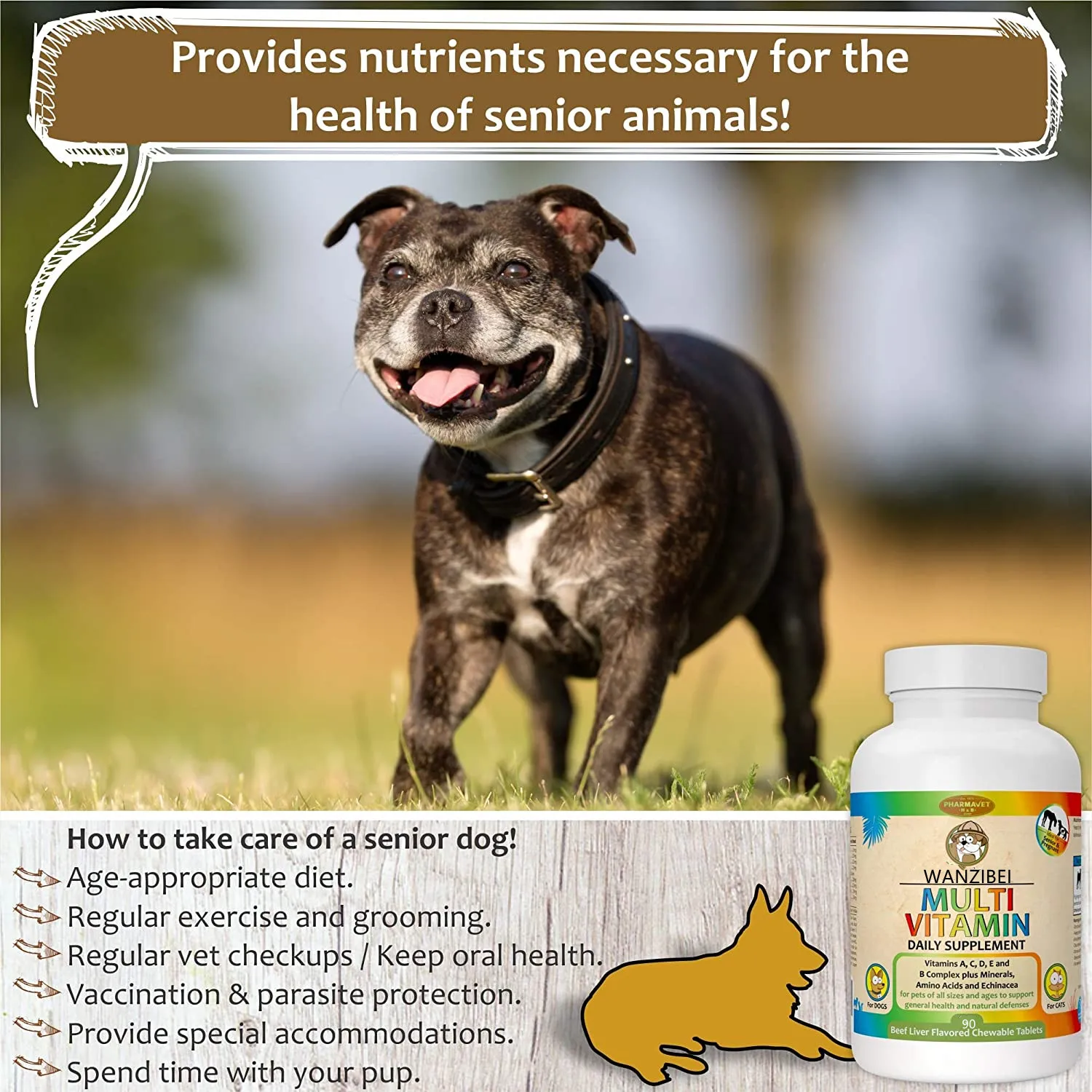 is vitamin c good for pregnant dogs