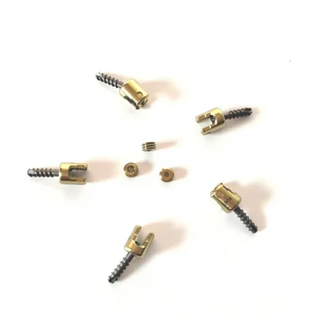 Titanium Screw Veterinary Instrument Pedicle Screw for Dog Feature-rich and Pedicle Screw