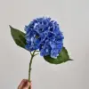Bleu foncé