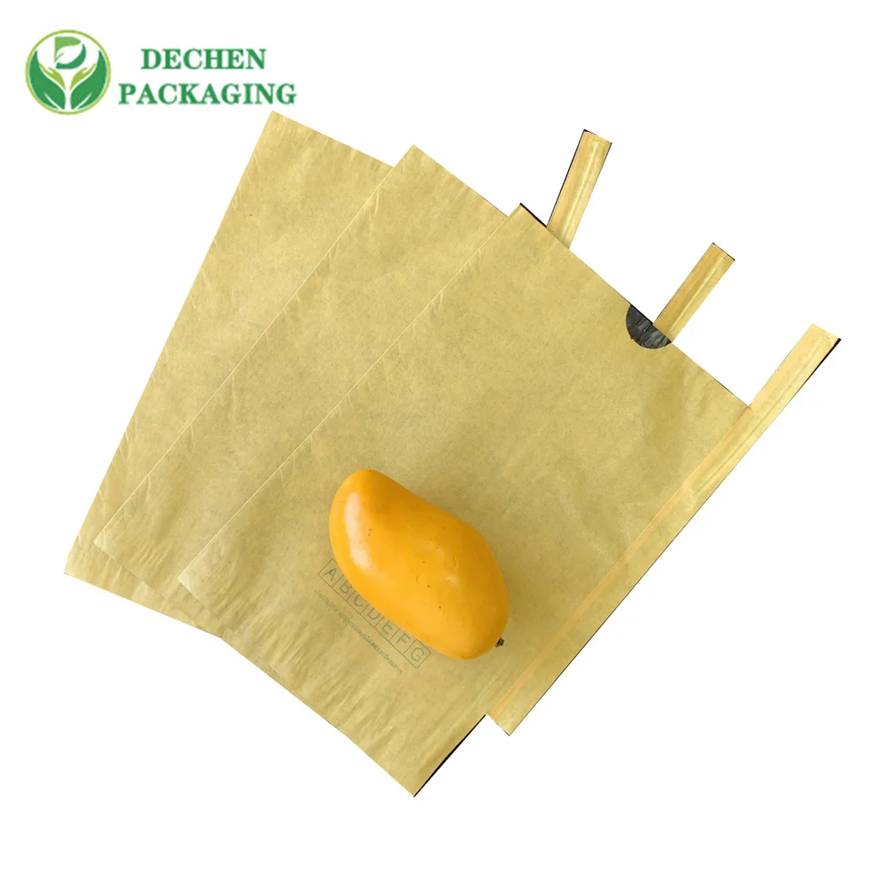 Sac de protection en papier de raisin dans les fruits en croissance