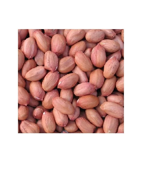 Wholesale High Quality Premium Delicious Red Skin Arachis Peanut  Popular Oilseeds Groundnut Raw Supplier Sale