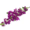 viola 3