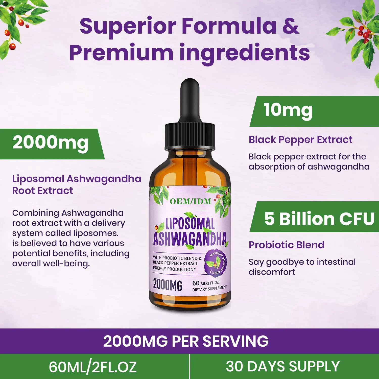 Free Sample Liquid Ashwagandha KSM 66 Root Extract Cognitive Function and Focus Booster Drops for Adults