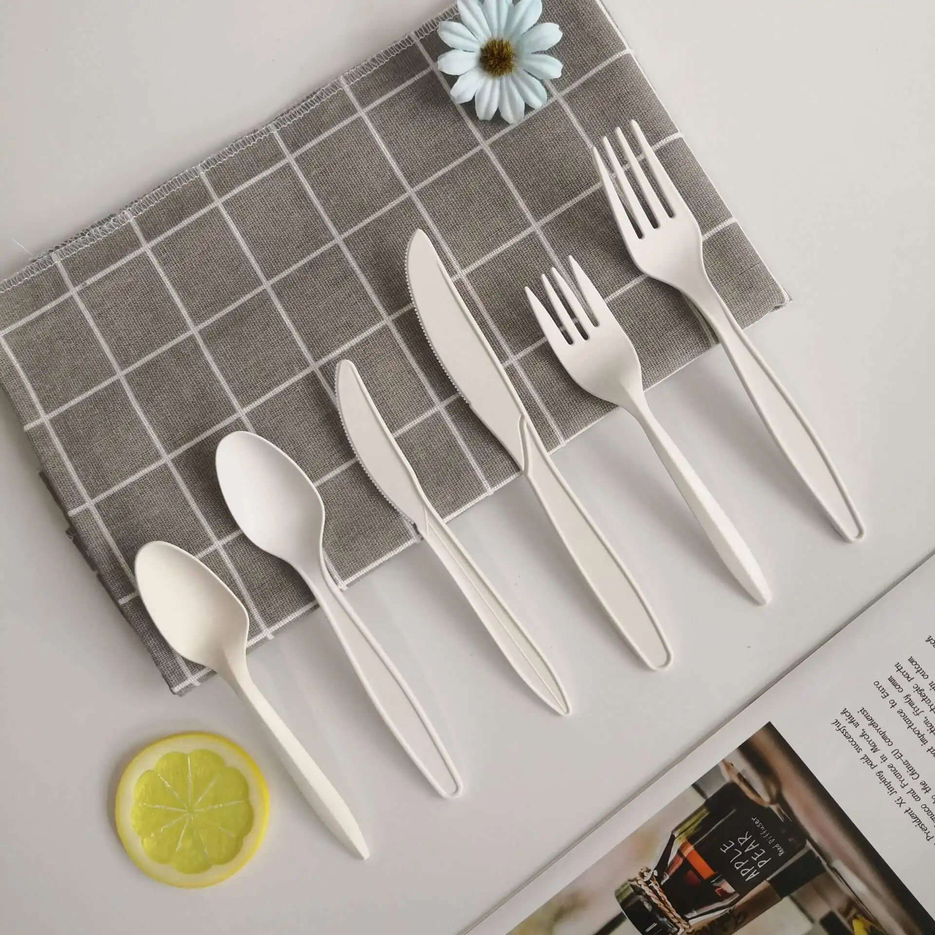 Cornstarch Cutlery Spoon Packaging Disposable Tableware Party Set