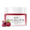 NicoLips Lip Scrub