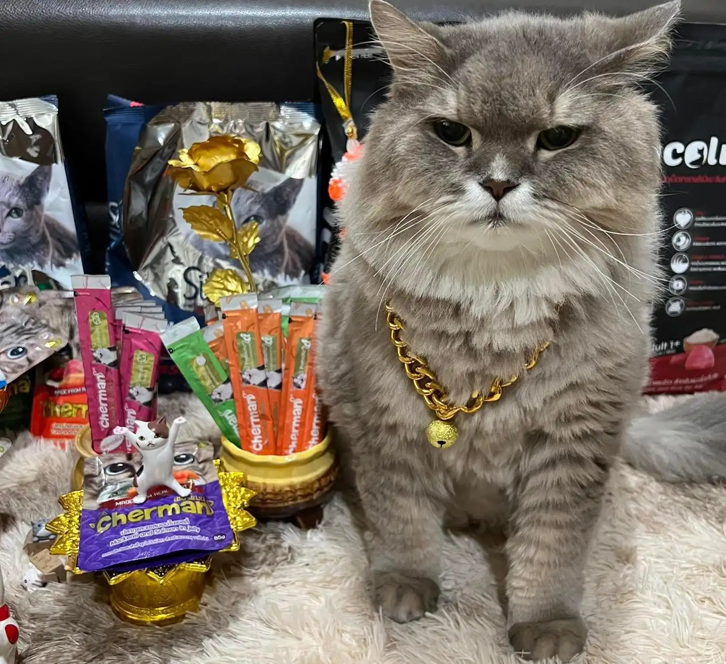 Cherman Pet Food Wet Food Snack For Cat Cat Lick Herring Flavor 12g