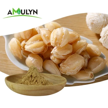 Natural MonkFruit Sweetener Mogroside V 50% Powder Organic Lo Han Guo Monk Fruit Extract