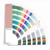 สีที่กำหนดเอง