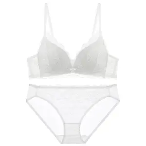 Lism Custom Women's Sexy Lace Backless Bra Set French Style Large Bust Minimizer Push-Up Thin Top Thick Bottom Bikini Wire Free