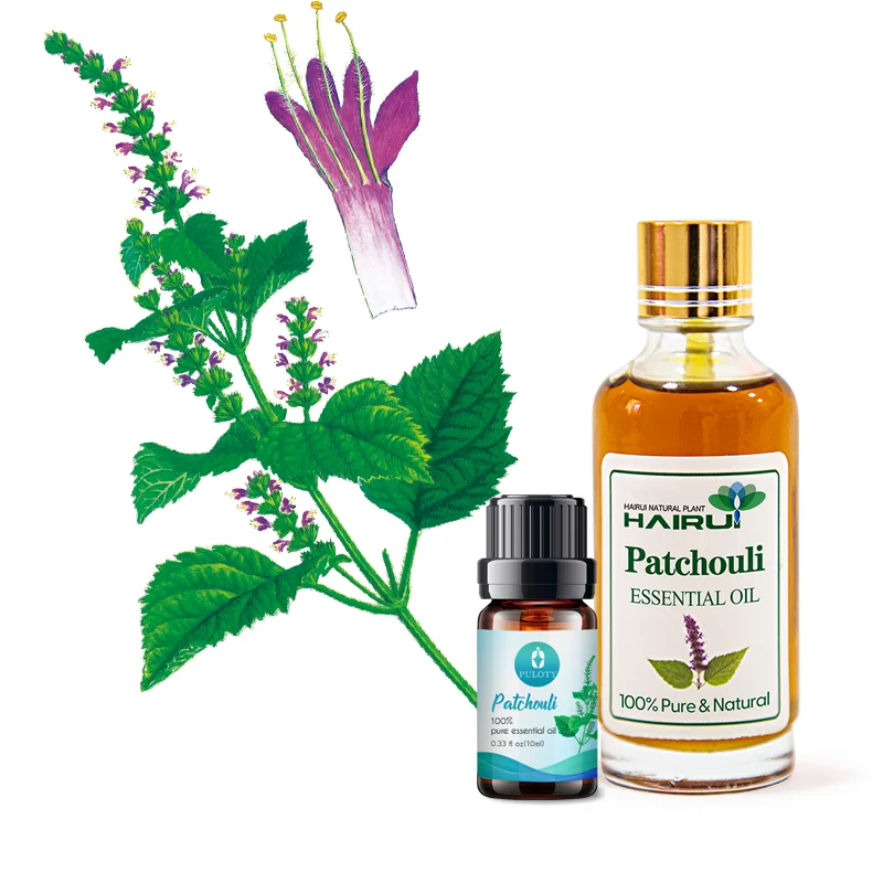 Manufacturer Supplier Essential Oil for Perfume Patchouli Oil