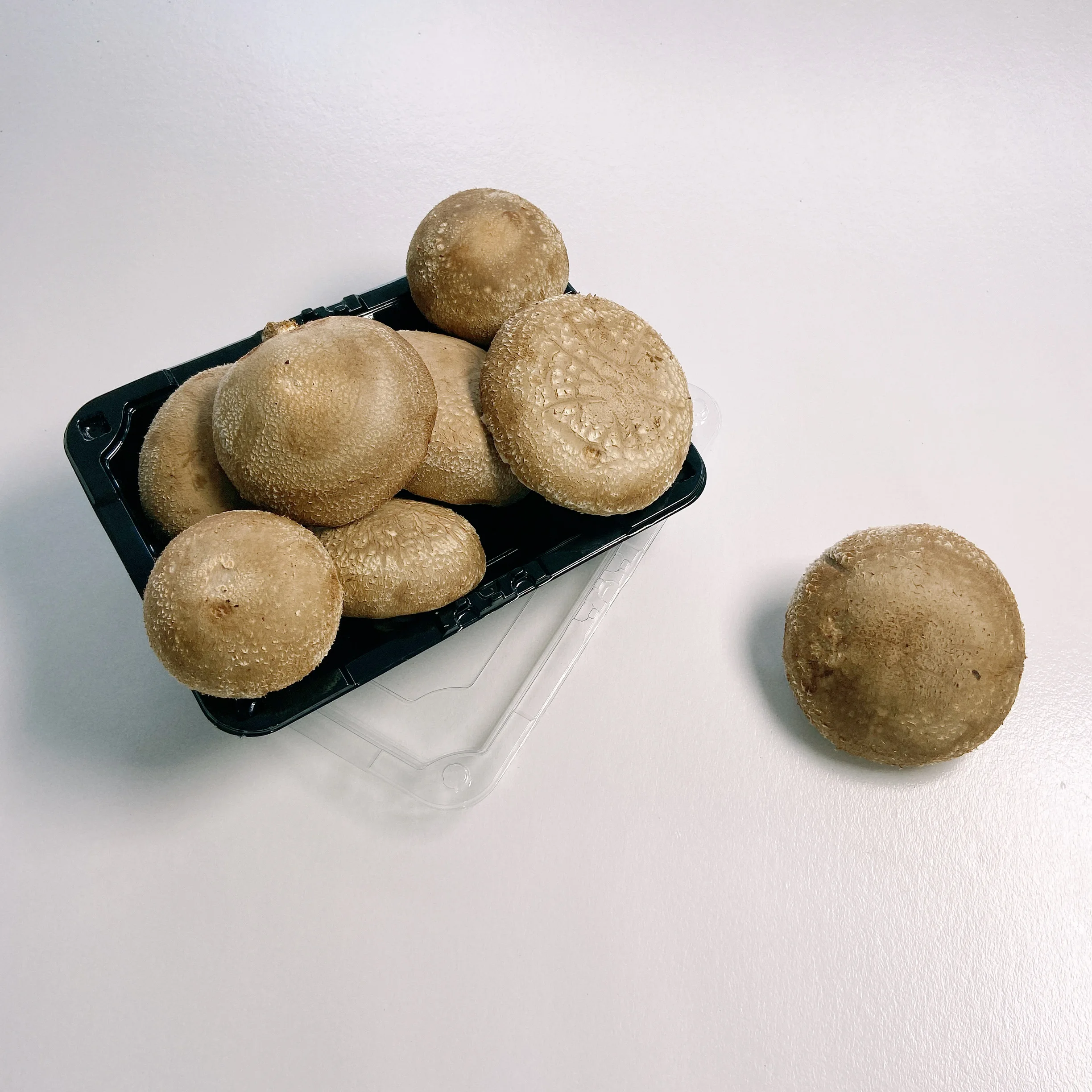 
 Оптовая продажа, большие вкусные свежие грибы шиитаке премиум класса  