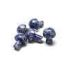 Jaspe à taches bleues