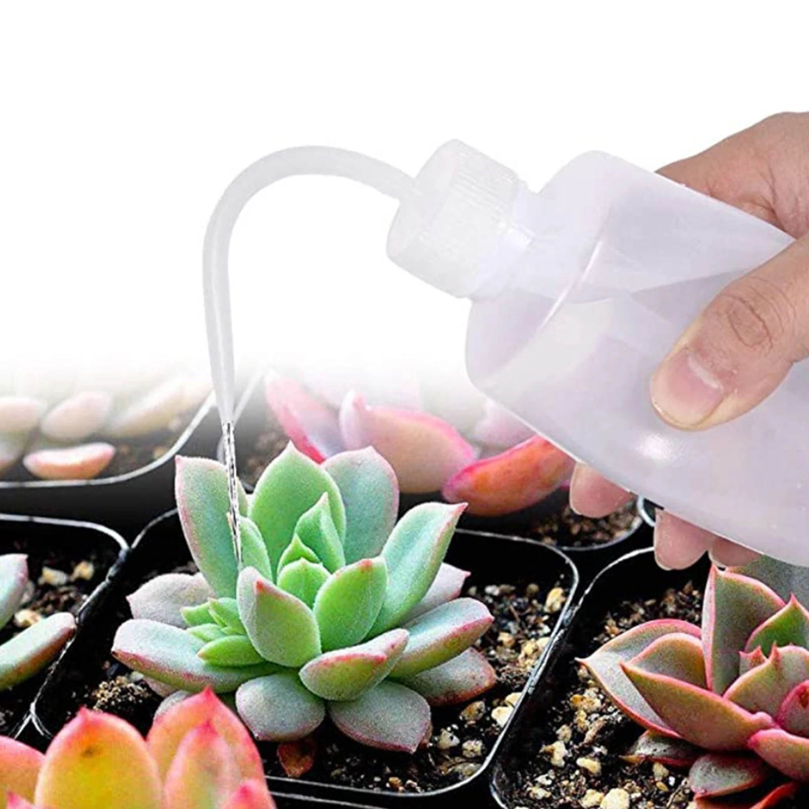 Amazon.com: Wesdxc - Juego de 15 herramientas para plantas suculentas,  miniherramientas de mano para jardín, herramientas de trasplante,  plantación en miniatura, jardín, cuidado de plantas : Patio, Césped y Jardín