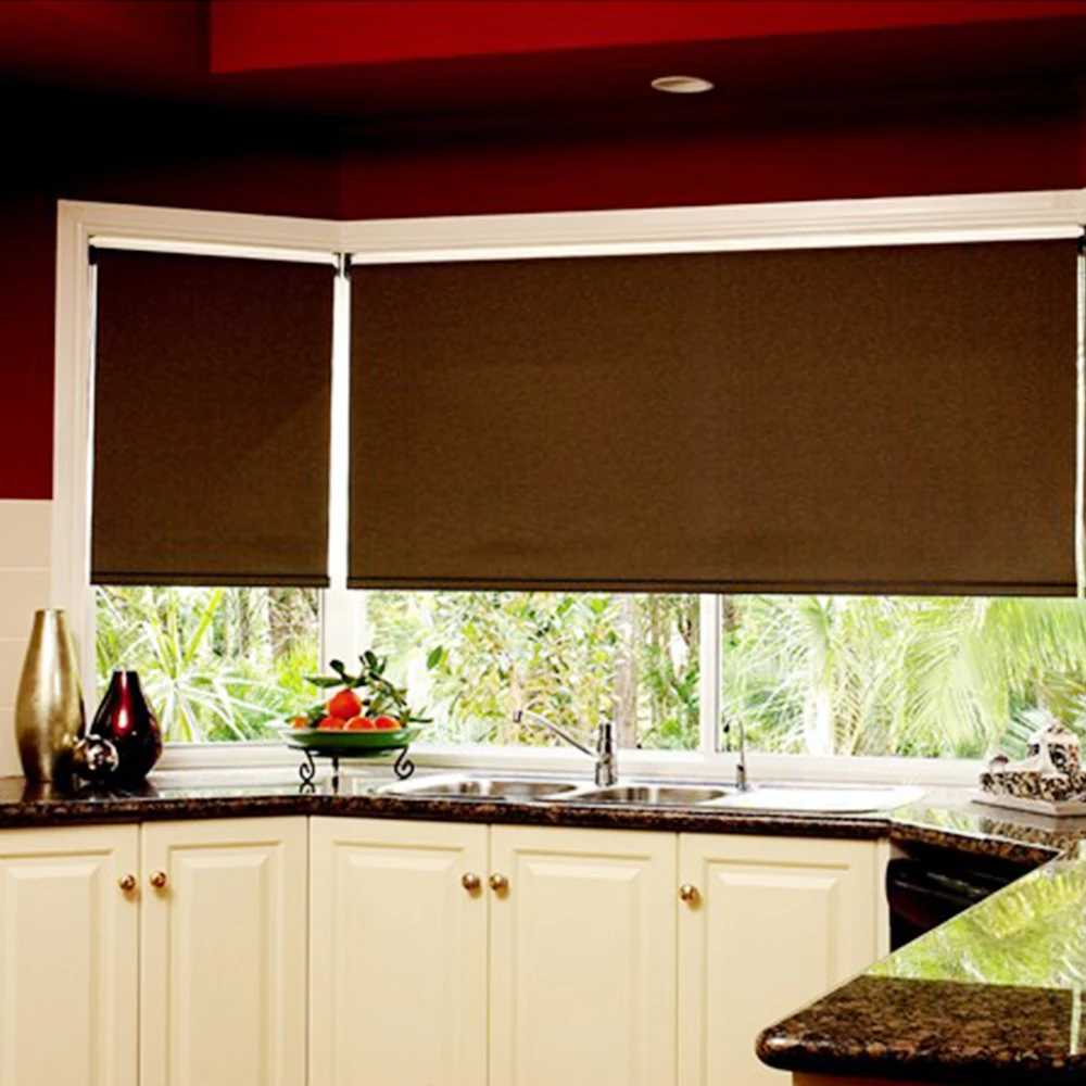 Latest Designs Ceiling or Wall Mount Manual Roller Blinds Roller Shades for Window Decoration Made in China Roller Blinds