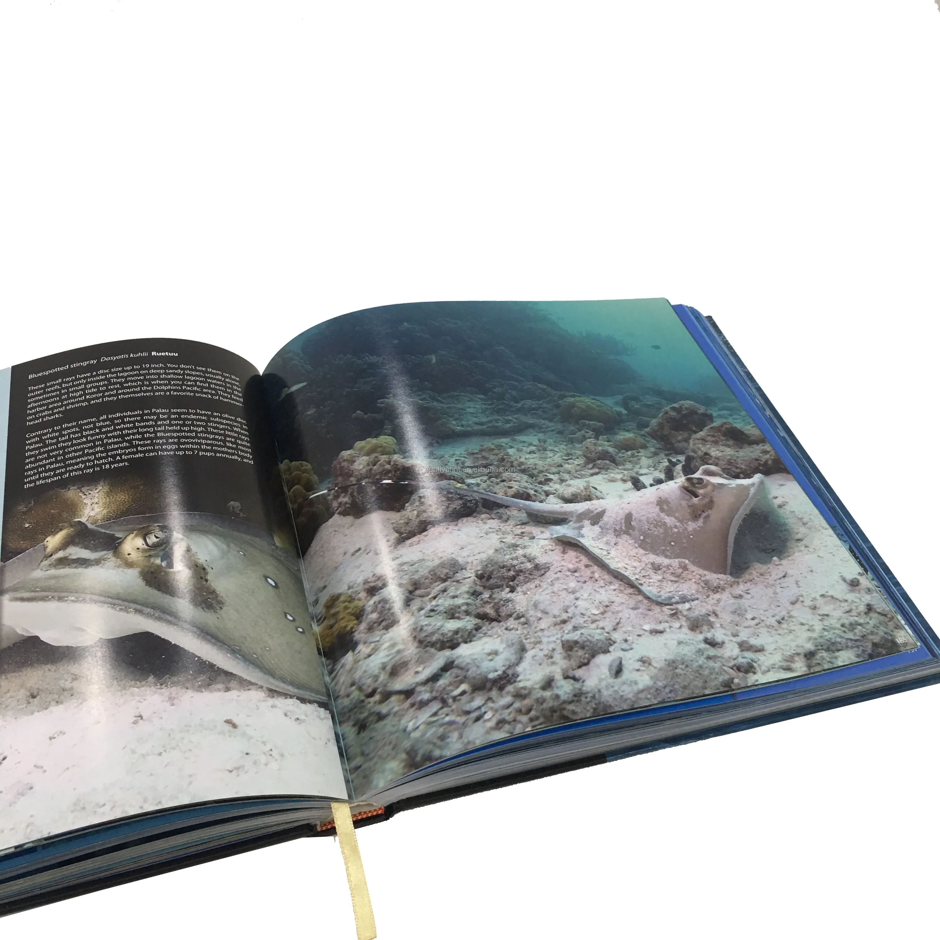 
Китай, идеальная переплетная книга с твердым рукавом 