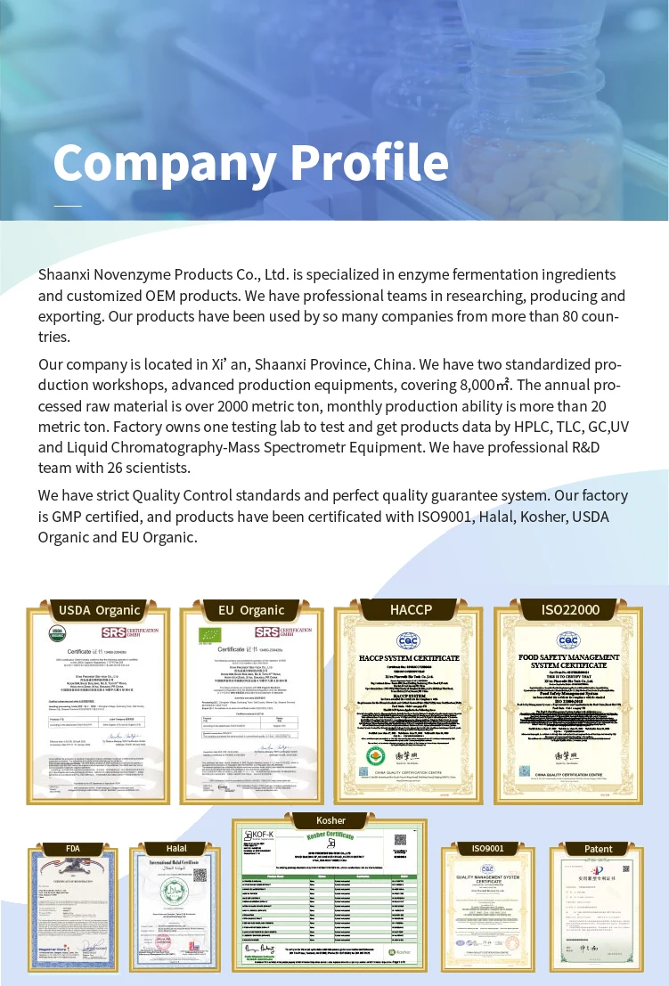 company 01