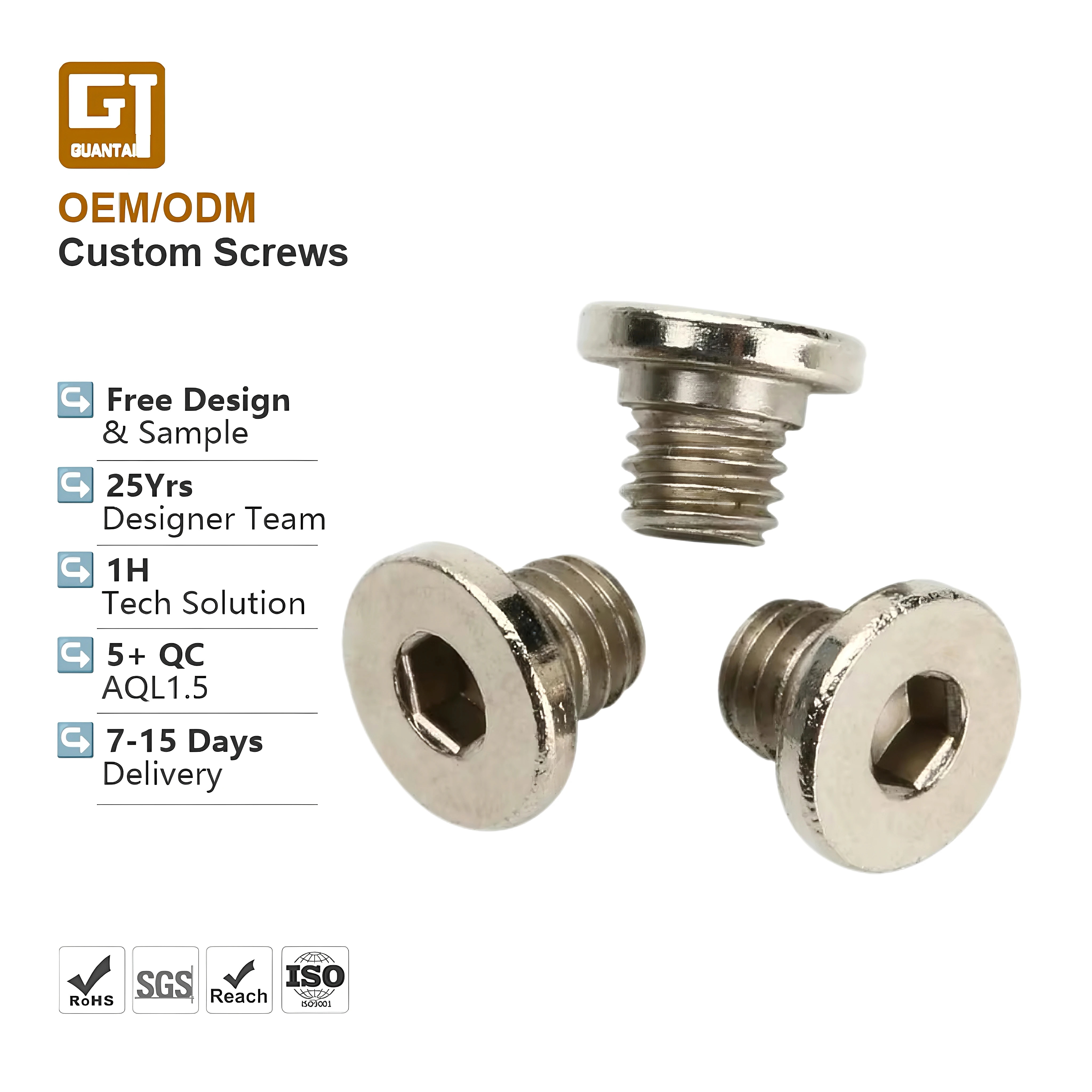 Hex Hexagon Socket Cap Head Screws Customized Micro Metric M2 M3 M5 M6 5mm 10mm Steel Cylinder Allen Type Gr5 Titanium Screw