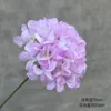 Single 72-petal, four-cornered hydrangea [light purple]