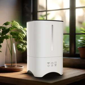 2 in 1 PP Essenital Oil Decorative Desktop Humidifier Whisper-Quiet Operation Sprayer Ultrasonic Electronic Humidifier