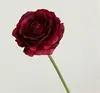 Rojo Morado