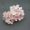 Meat powder has stems