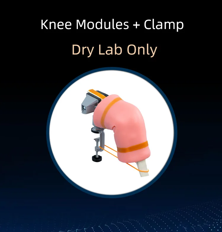 Arthroscopy Knee Joint Module Shoulder Module Arthroscopic Surgery Simulation Training Equipment Training Simulator