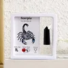 10 Obsidiana Arcoíris-Escorpio