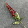 rosso 11