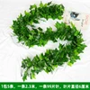 99-leaf gummy ivy, 5 strips