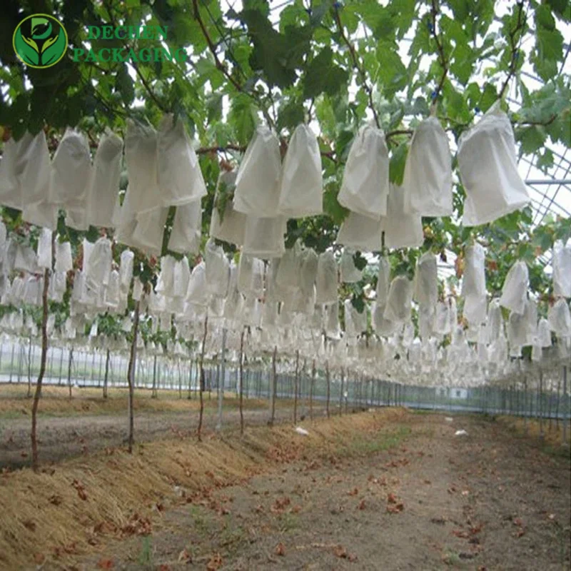 Paper Grape Fruit Protection Bag In Peru Chile