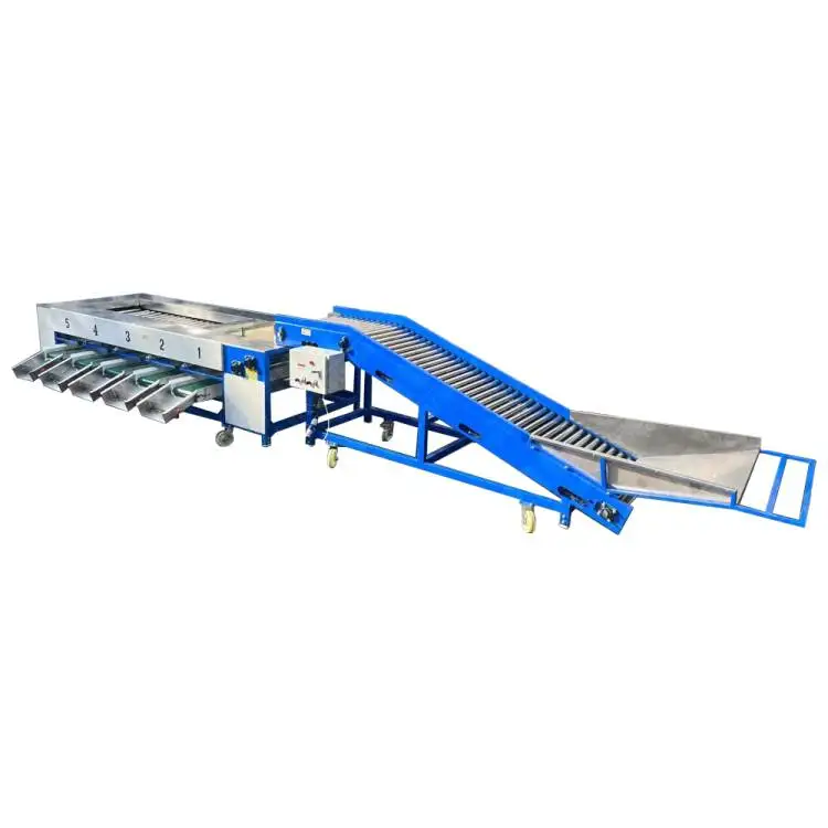 Professional Sorting Machine Ce Approved