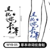 Wyb-05-150300mm