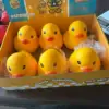 6pcs/box