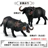 African buffalo-2 random 1-0137kg