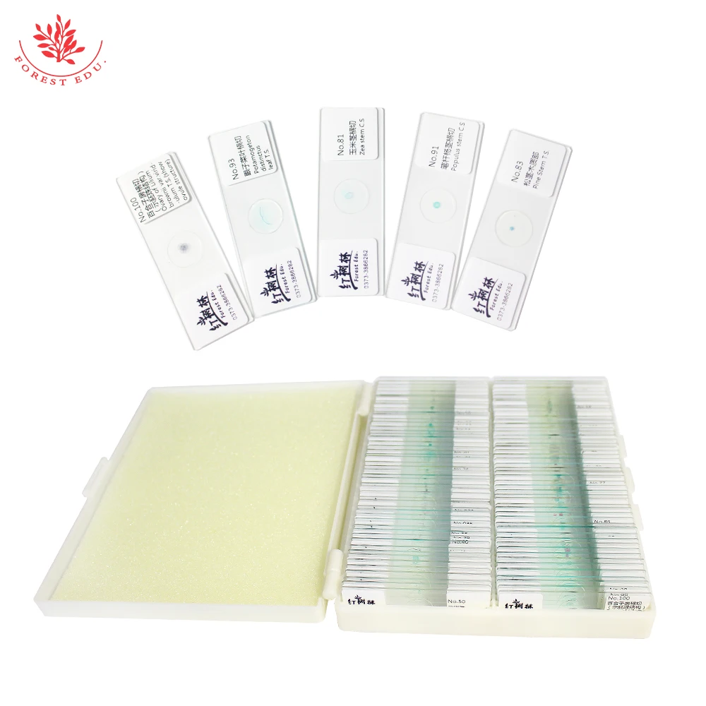 Fixed Set Educational Supplies Biology Teaching Resources Various Of