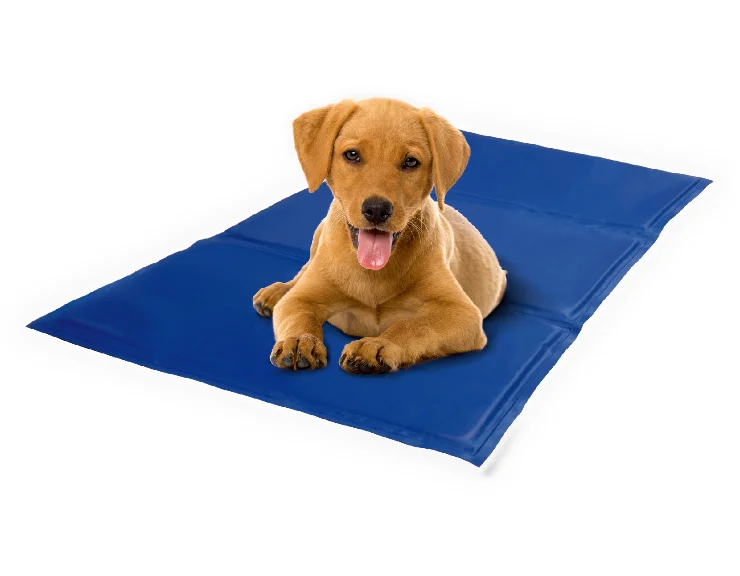 Коврик для собаки. Охлаждающий коврик cool Pet Pad. Имак коврик охлаждающий Cooling mat ,50x40см(413699). Коврик для собак Scruffs Thermal Pet mat s 75х52 см. Охлаждающий коврик для собак 50х40 wikilab.